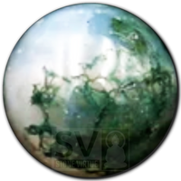 8mm natural Green Moss Agate bead, valued for its nurturing energy, encouraging growth, prosperity, and connection to nature.
