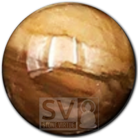 8mm natural Petrified Wood bead, associated with grounding energy, patience, and connection to the Earth’s ancient wisdom.
